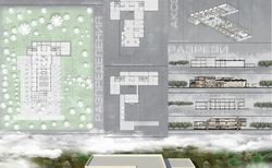 alexstoychevv97-gmail-com-01-copy_250x154_crop_478b24840a