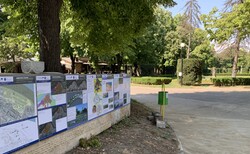 img-0764_250x154_crop_478b24840a