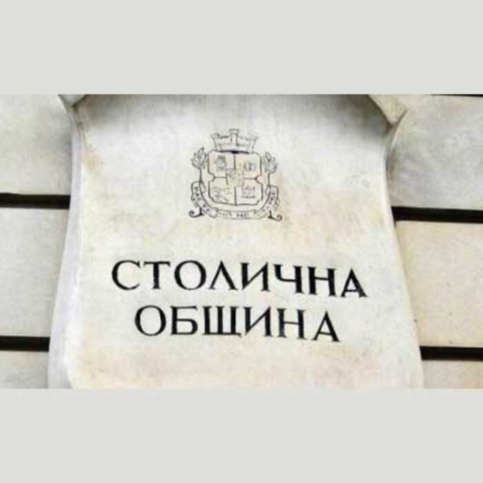 15-kandidata-za-glaven-arhi_700x700_crop_478b24840a